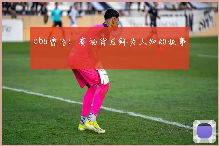 cba曹飞：赛场背后鲜为人知的故事