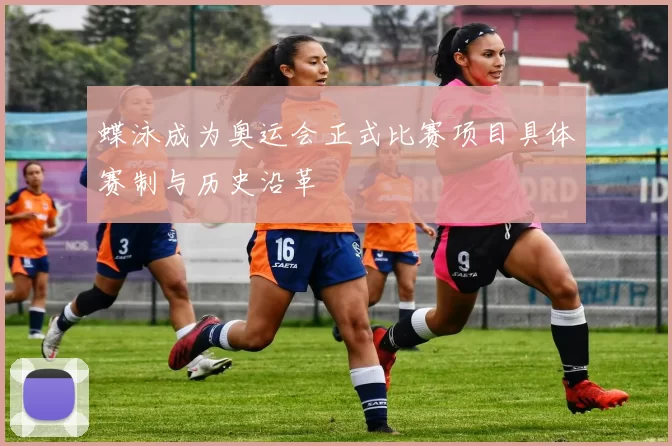 蝶泳成为奥运会正式比赛项目具体赛制与历史沿革