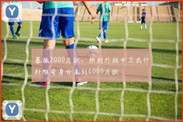 暴涨2000万欧，热刺外租中卫武什科维奇身价来到6000万欧