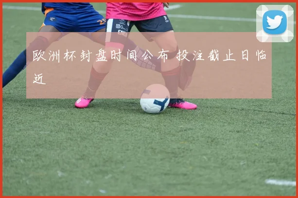 欧洲杯封盘时间公布 投注截止日临近