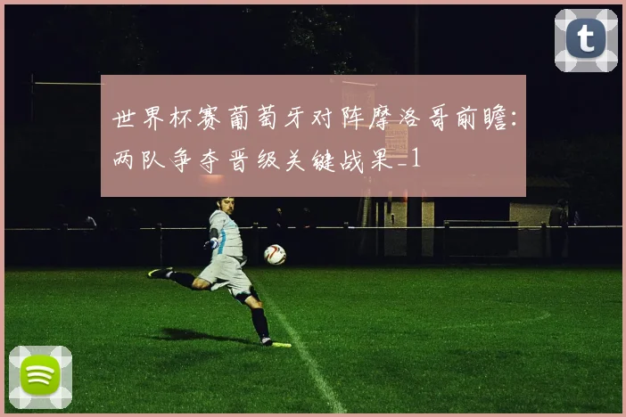 世界杯赛葡萄牙对阵摩洛哥前瞻:两队争夺晋级关键战果_1