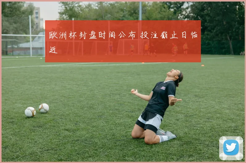 欧洲杯封盘时间公布 投注截止日临近