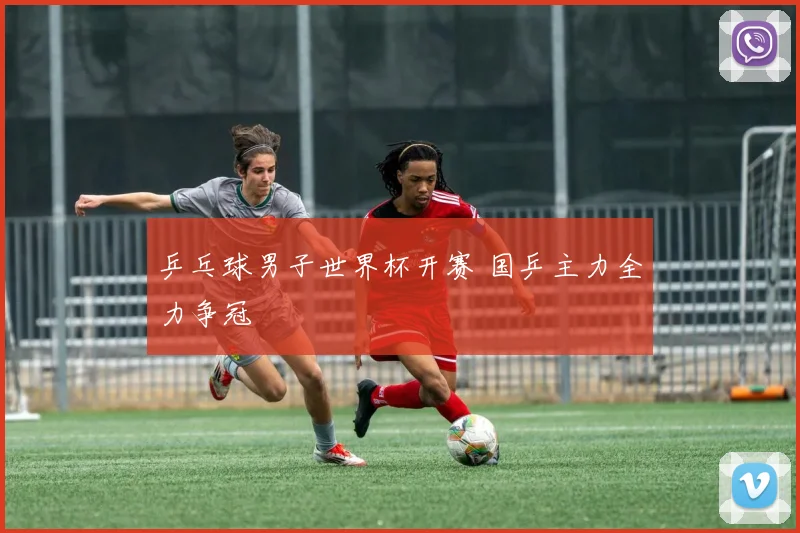 乒乓球男子世界杯开赛 国乒主力全力争冠